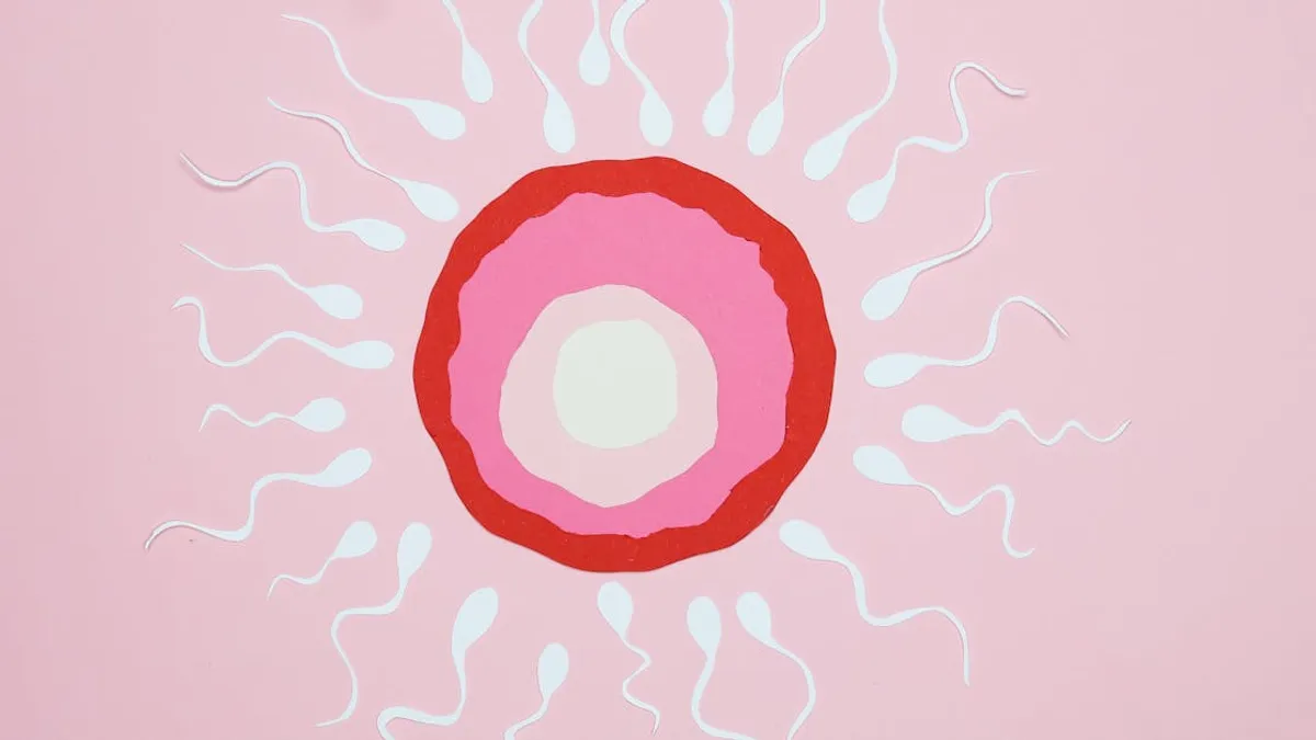 Illustration of egg fertilization with sperm, featuring paper cutouts on a pink background.