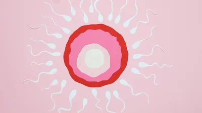 Illustration of egg fertilization with sperm, featuring paper cutouts on a pink background.
