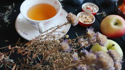 Elegant tea cup with apples and dried flowers on a dark setting, perfect for a cozy breakfast scene.